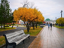 Куда пойти в Омске 7, 8 и 9 ноября