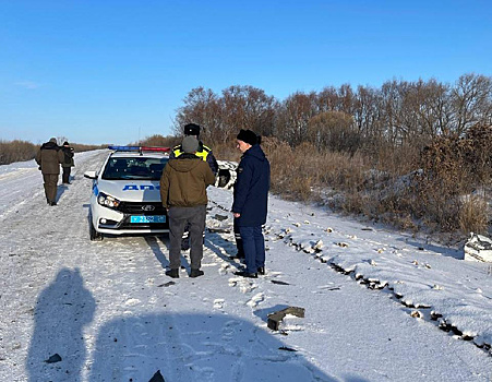 Жертвами смертельной аварии в Михайловском районе стали директор школы и водитель