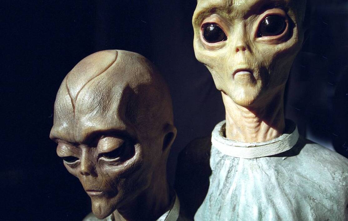 Виды инопланетян на земле. Расы пришельцев на земле. Пришельцы разные расы. Внешность инопланетян. Инопланетяне рептилоиды.