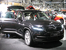 Названа дата премьеры Skoda Kodiaq в Москве