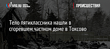 Тело пятиклассника нашли в сгоревшем частном доме в Токсово