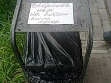 «Двор превращается в помойку»: в ЖК на Флотской некому убирать придомовую территорию