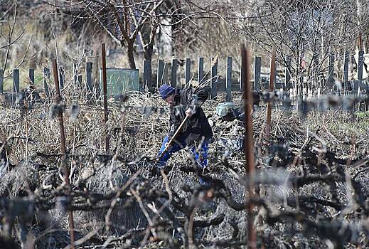 Дачников призвали срочно увлажнить грунт
