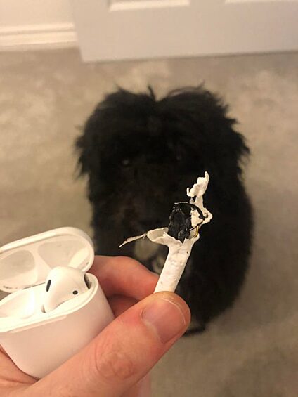 Когда наконец-то решил купить себе AirPods.