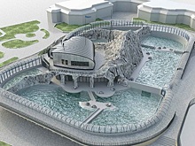 Павильон с бассейнами для морских котиков и моржей построят в столичном зоосаде