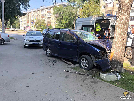 Nissan смяло деревом на левом берегу Новосибирска