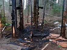 Вологодские власти усиливают контроль за лесными пожарами с воздуха и земли