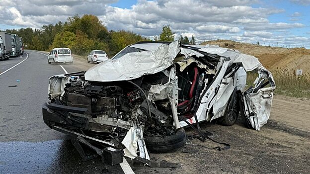 Под Спасском столкнулись 2 фуры и легковой автомобиль, 1 человек погиб