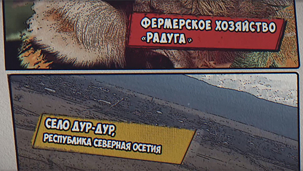 «Радуга»: История успеха фермерского стартапа