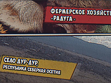 «Радуга»: История успеха фермерского стартапа