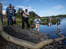 В Шую выпустили более тысячи молодых лососей