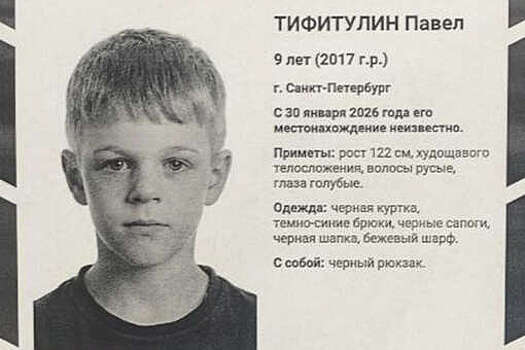 РИА: в Петербурге третий день ведутся поиски пропавшего девятилетнего мальчика