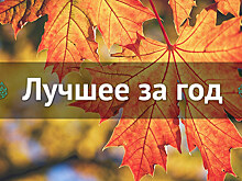 Лучшее за год. Октябрь