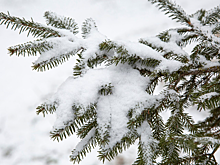 Снег накроет почти всю территорию России на следующей неделе. Ожидается похолодание
