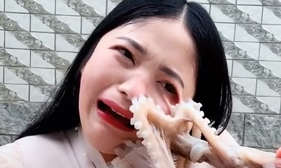 Китайская блогерша Seaside Girl Little Seven в прямом эфире подралась с осьминогом.