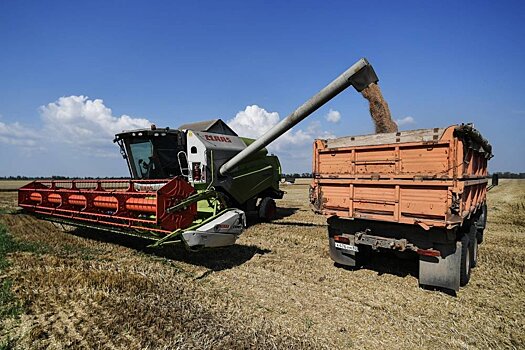 Сможет ли Россия выращивать больше зерна из-за изменения климата