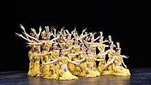 Два танцевальных коллектива из Вологды получили Гран-при международного конкурса хореографии
