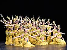 Два танцевальных коллектива из Вологды получили Гран-при международного конкурса хореографии