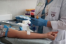 Врач рассказал о необычном противопоказании для доноров крови