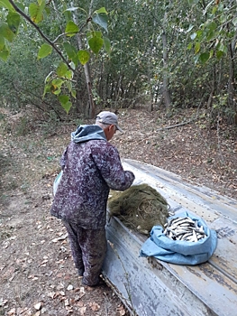 На Цимлянском водохранилище задержали браконьера