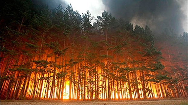 В центральной части РФ опасаются торфяных пожаров