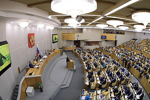 В Госдуме оценили судебный приговор в отношении российских фанатов