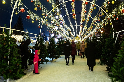 8 миллионов рублей будет потрачено на демонтаж праздничных декораций в Новосибирске