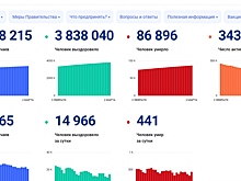 Штаб: За сутки в РФ подтвердили 11 тыс. 385 случаев коронавирусной инфекции, в Москве - 2 тыс. 150
