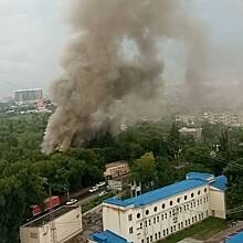 В российском городе пожар на территории зоопарка сняли на видео