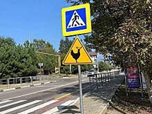 Дорожные знаки с изображением рогатой курицы появились в Сочи
