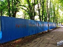 Ларьки против деревьев: в Батайске хотят вырубить каштановую аллею