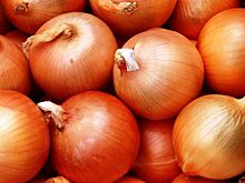 Репчатый лук: чем он опасен