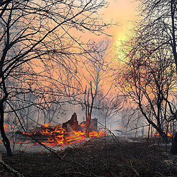 На Украине до сих пор не могут справиться с пожарами в Чернобыле и Житомирской области