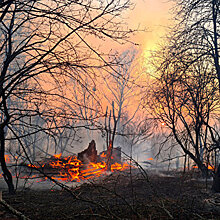 На Украине до сих пор не могут справиться с пожарами в Чернобыле и Житомирской области