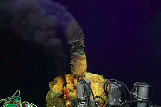Учёные нашли сотни новых форм жизни под водой