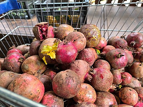 Повезло с урожаем: давить гранаты ради терпкого сока начали садоводы в Сочи