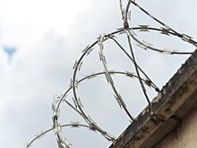 Криминалист объяснил, что ожидает Шишкана в колонии для пожизненно осужденных