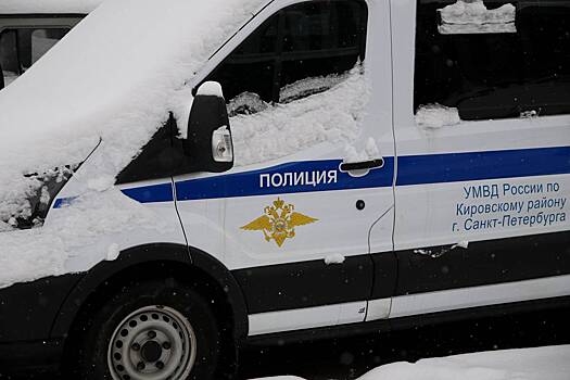 В Петербурге начальника отдела завода заподозрили в изнасиловании девочки