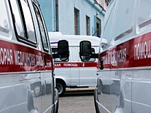 Дочь разбившегося в ДТП  замглавы заксобрания Петербурга погибла при падении из окна