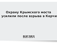 Охрану Крымского моста усилили после взрыва в Керчи