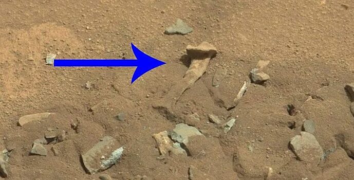 Эта «человеческая кость», найденная на снимке поверхности Марса, даже не нова. Вот настоящая история