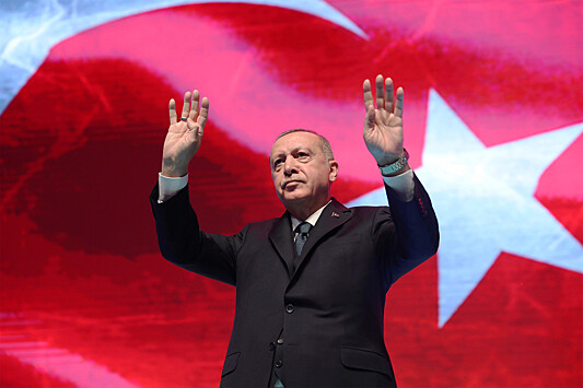 Эрдоган обсудил с Путиным строительство АЭС на берегу Черного моря в Турции