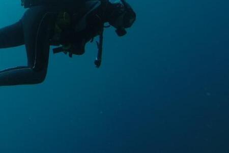 «Пришла поздороваться»: дайвер показал видео встречи на глубине у Русского острова