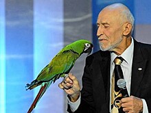 Специальным гостем фестиваля «Город-сад» в Воронеже станет ведущий Николай Дроздов