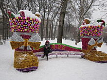 Новогодние каникулы: бесплатный каток в Гончаровском парке