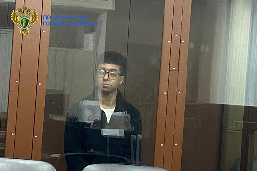 В Москве осудили мужчину за призывы к терактам и фейки об армии