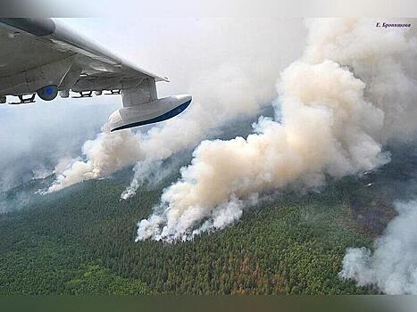 Забайкалье вошло в список регионов ДФО с самыми большими пожарами
