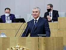 Володин и Шентоп договорились в ближайшее время провести заседание комиссии высокого уровня