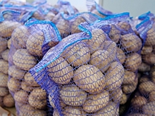 В городе в Волгоградской области на 4% подорожал картофель