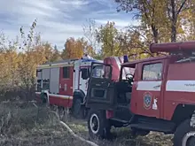 В Тольятти 10 октября вспыхнул лес